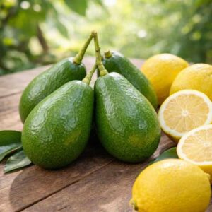 Aguacates y limones ecológicos sobre una mesa de madera