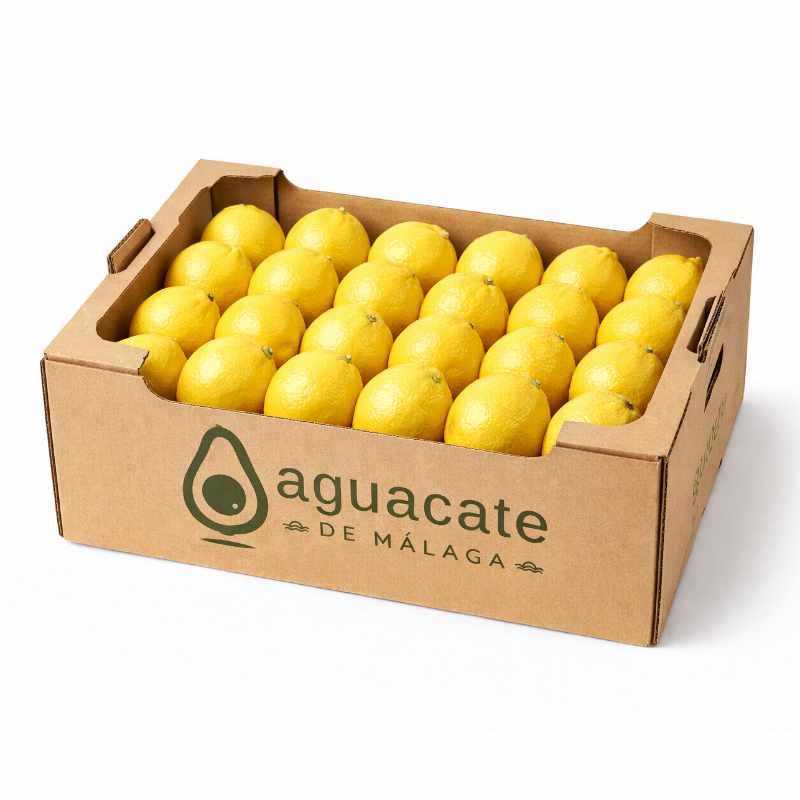 Limón Ecológico - Imagen 2