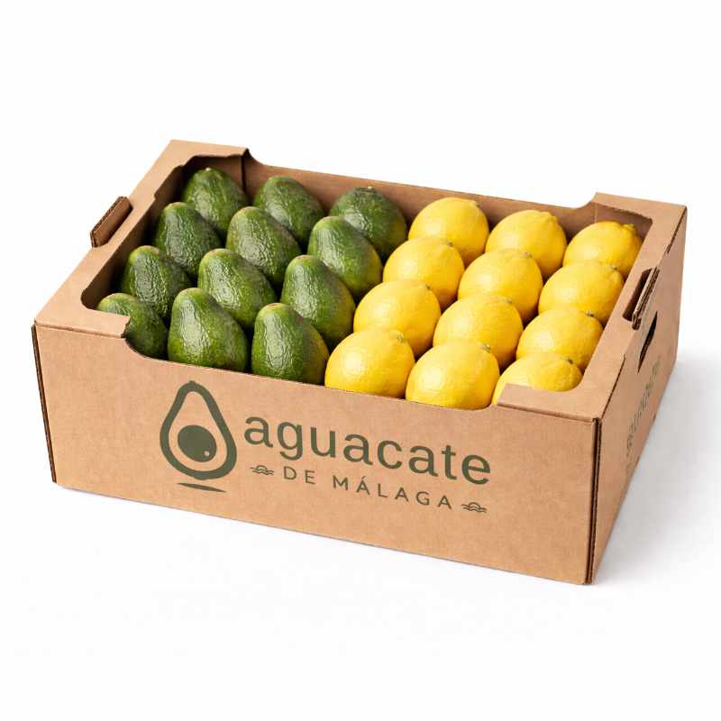 Aguacate y Limón Ecológico - Imagen 2