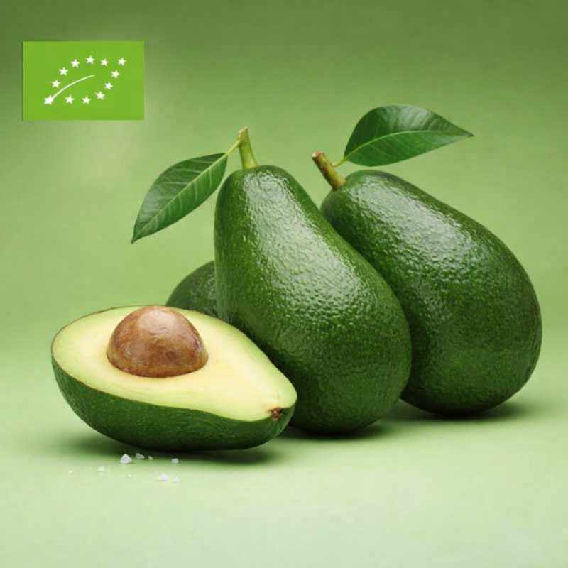 Descubre las sorprendentes propiedades del aguacate para tu salud