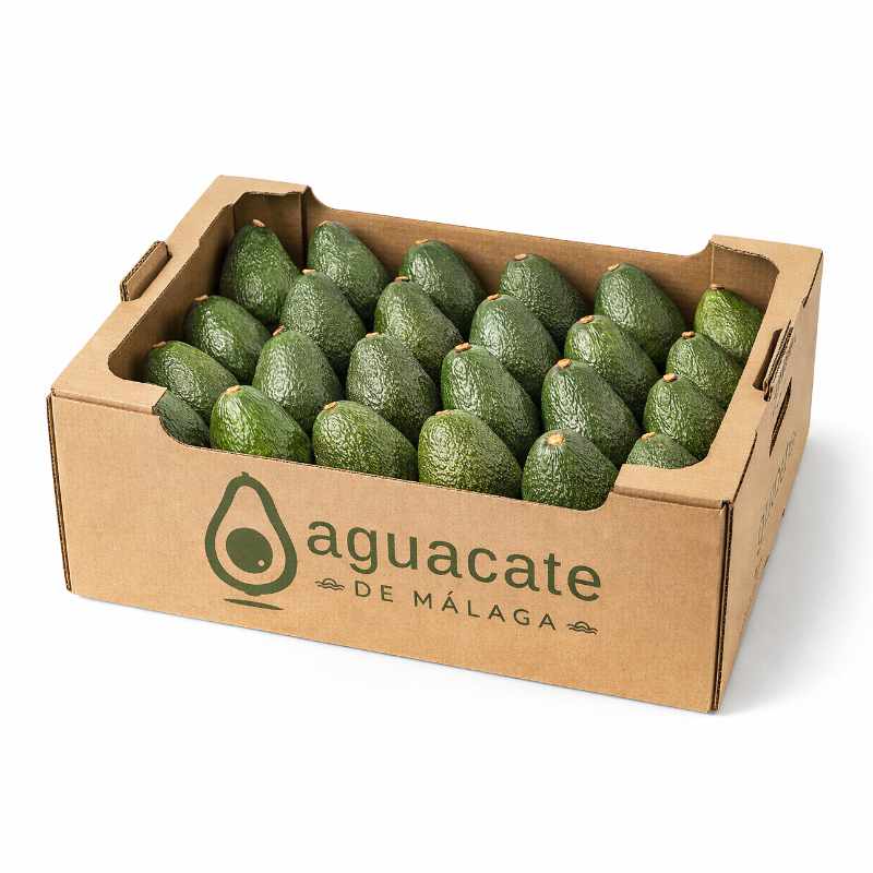 Aguacate Fuerte Ecológico
